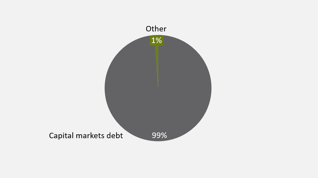 Debt structure (at Jun 30, 2024)