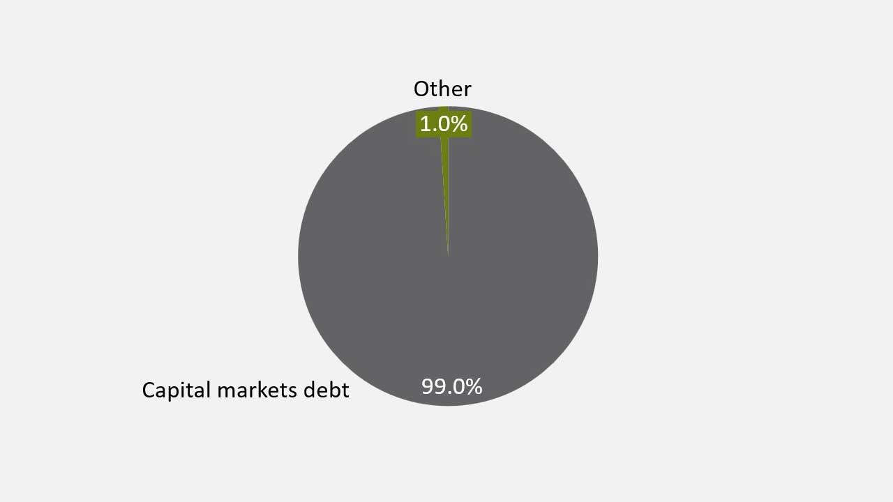 Debt structure (at Dec 31, 2024)