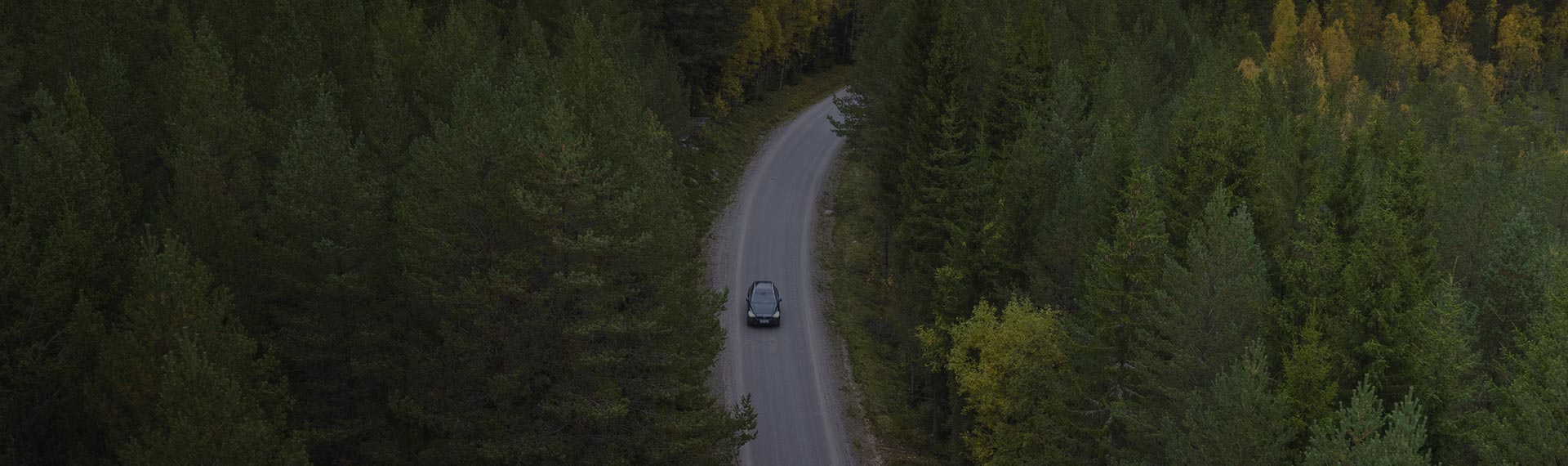 Car driving on a road in the forest