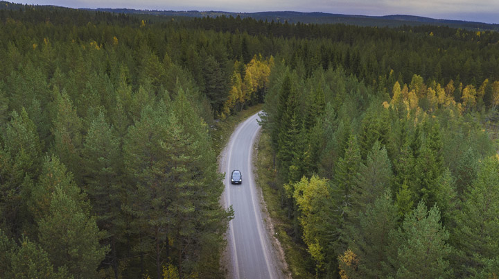 Automóvil circulando por una carretera rodeada de bosques