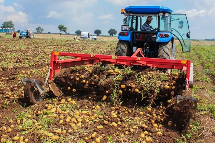 A four-row potato harvester with Hardox® wear steel in its blades