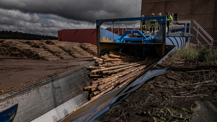 Logs travelling down a chain conveyor at a paper and pulp mill, with Hardox® HiAce in the steel plates.